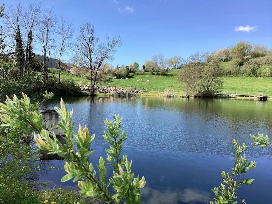 Le Gite De La Fontaine Chiddes Exteriör bild
